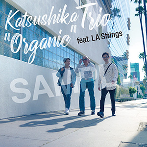 メガジャケットサンプル